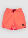 Quiksilver Everyday Volley 12 Kids Boardshorts