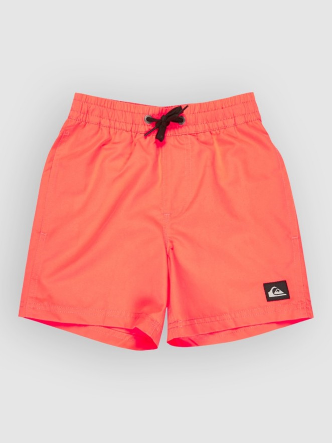 Quiksilver Everyday Volley 12 Kids Boardshorts