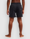 Quiksilver Everyday Volley 14 Kids Boardshorts