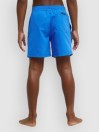Quiksilver Everyday Volley 14 Kids Boardshorts