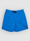 Quiksilver Everyday Volley 14 Kids Boardshorts