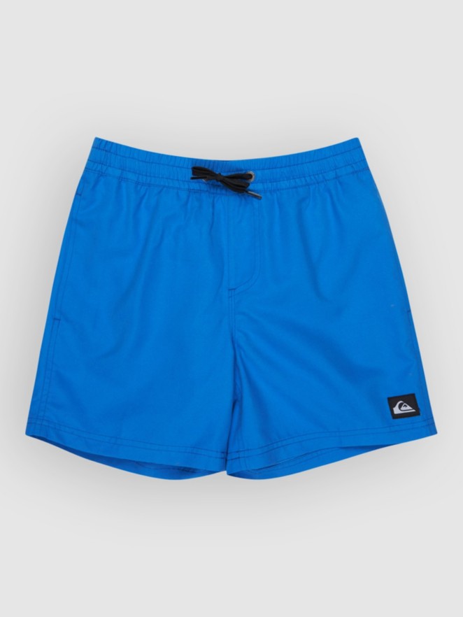 Quiksilver Everyday Volley 14 Kids Boardshorts