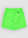 Quiksilver Everyday Volley 14 Kids Boardshorts