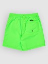 Quiksilver Everyday Volley 14 Kids Boardshorts