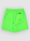 Quiksilver Everyday Volley 14 Kids Boardshorts