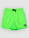 Quiksilver Everyday Volley 14 Kids Boardshorts