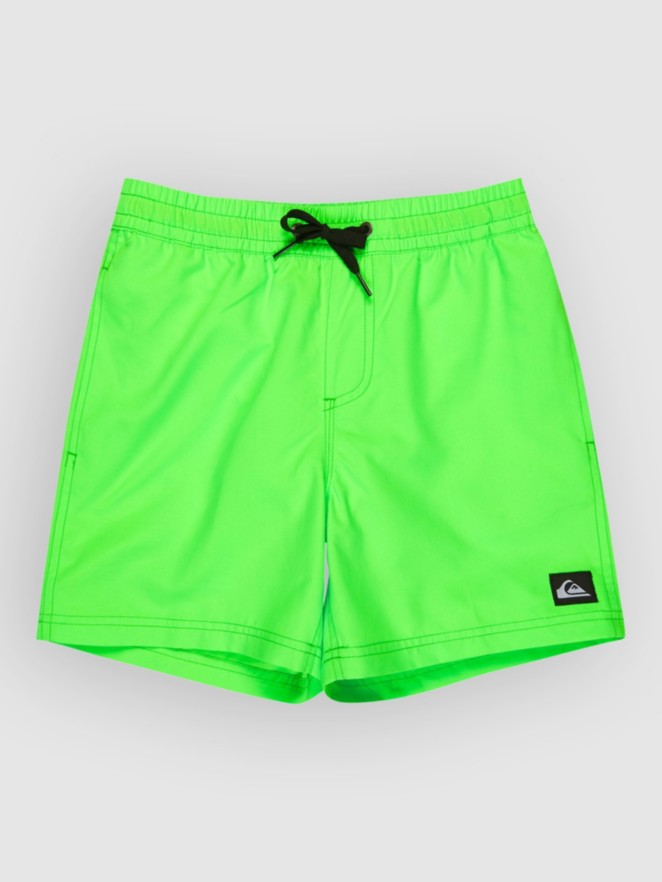 Quiksilver Everyday Volley 14 Kids Boardshorts