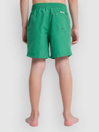 Quiksilver Everyday Volley 14 Kids Boardshorts