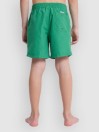 Quiksilver Everyday Volley 14 Kids Boardshorts