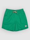 Quiksilver Everyday Volley 14 Kids Boardshorts