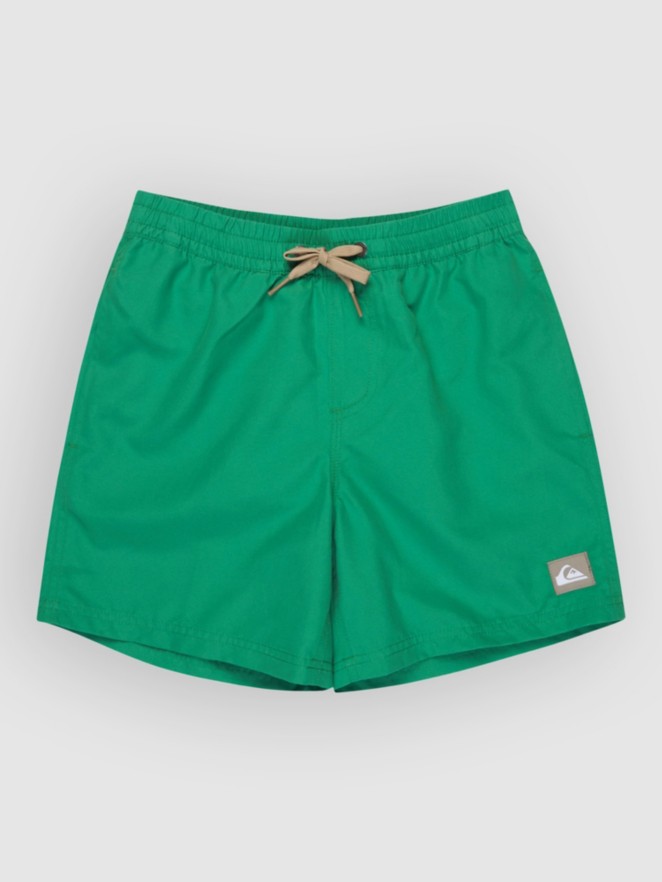 Quiksilver Everyday Volley 14 Kids Boardshorts