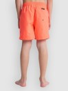 Quiksilver Everyday Volley 14 Kids Boardshorts