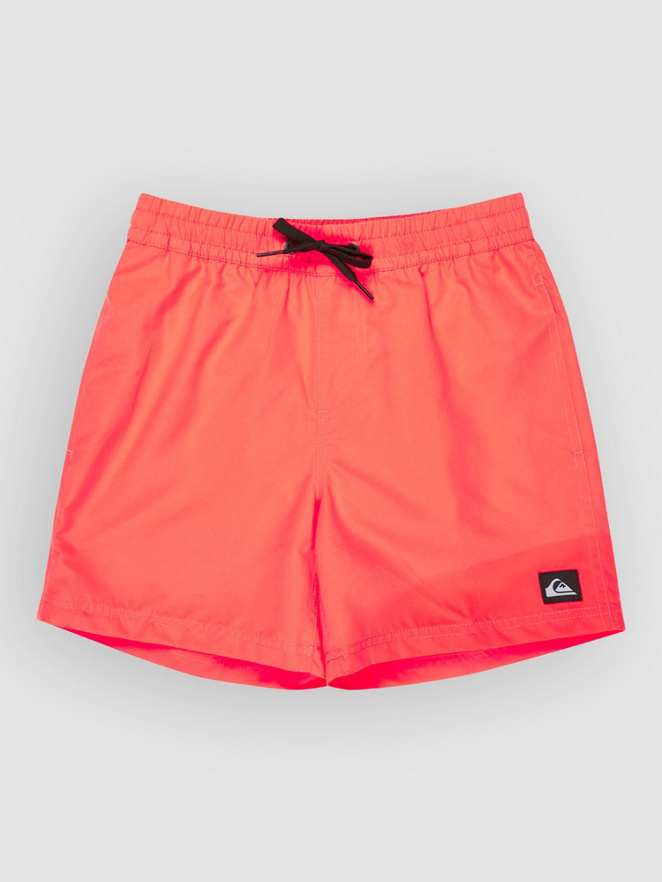 Quiksilver Everyday Volley 14 Kids Boardshorts