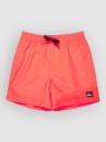 Quiksilver Everyday Volley 14 Kids Boardshorts