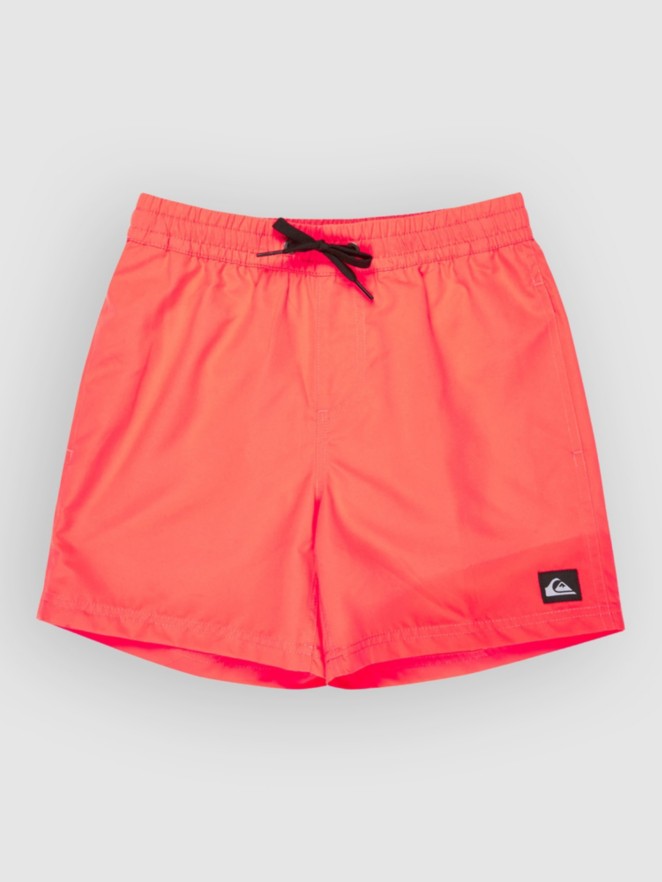 Quiksilver Everyday Volley 14 Kids Boardshorts