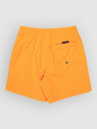 Quiksilver Everyday Volley 14 Kids Boardshorts