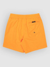 Quiksilver Everyday Volley 14 Kids Boardshorts