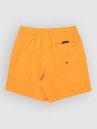 Quiksilver Everyday Volley 14 Kids Boardshorts