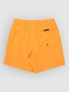 Quiksilver Everyday Volley 14 Kids Boardshorts