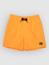 Quiksilver Everyday Volley 14 Kids Boardshorts