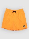 Quiksilver Everyday Volley 14 Kids Boardshorts