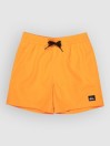 Quiksilver Everyday Volley 14 Kids Boardshorts
