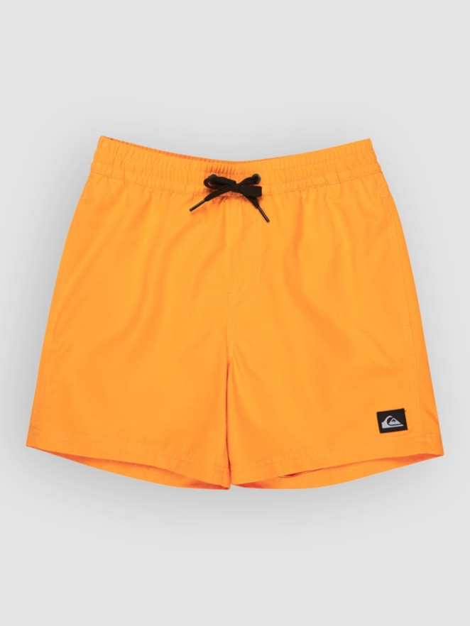 Quiksilver Everyday Volley 14 Kids Boardshorts