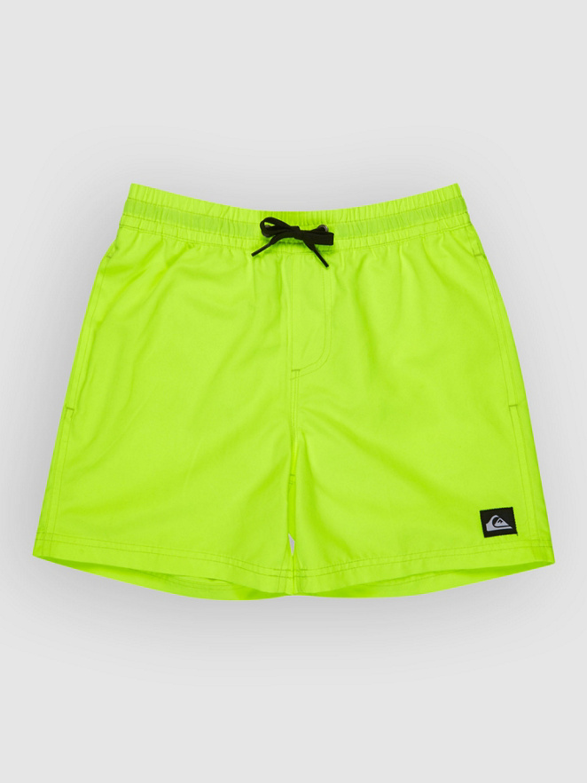 Quiksilver Everyday Volley 14 Kids Boardshorts
