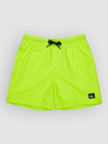 Quiksilver Everyday Volley 14 Kids Boardshorts