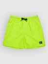 Quiksilver Everyday Volley 14 Kids Boardshorts