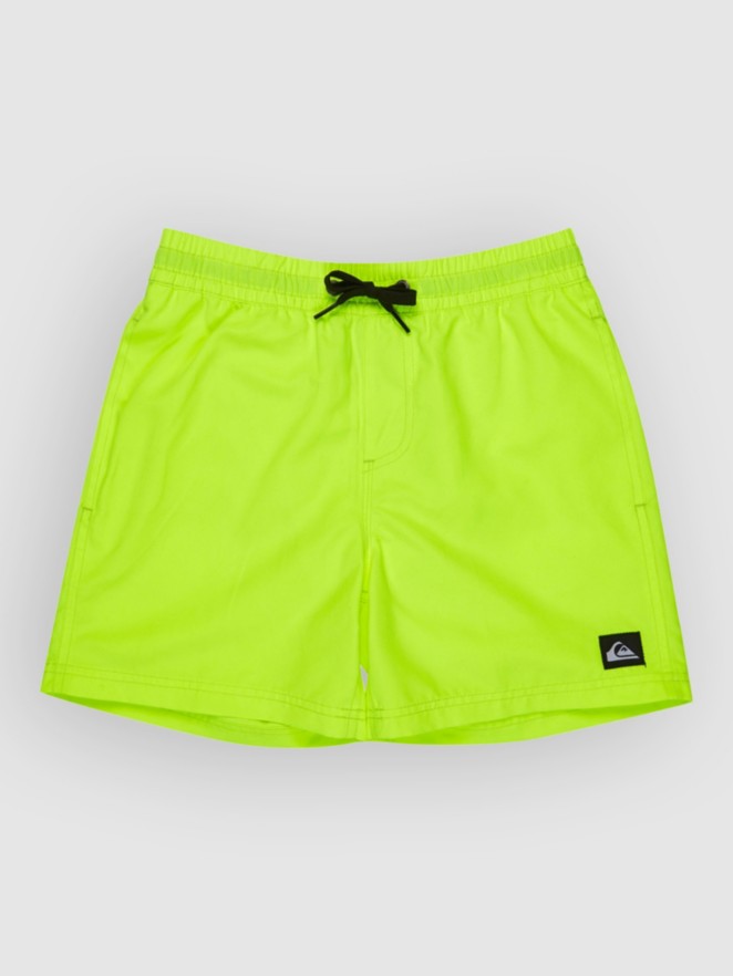 Quiksilver Everyday Volley 14 Kids Boardshorts