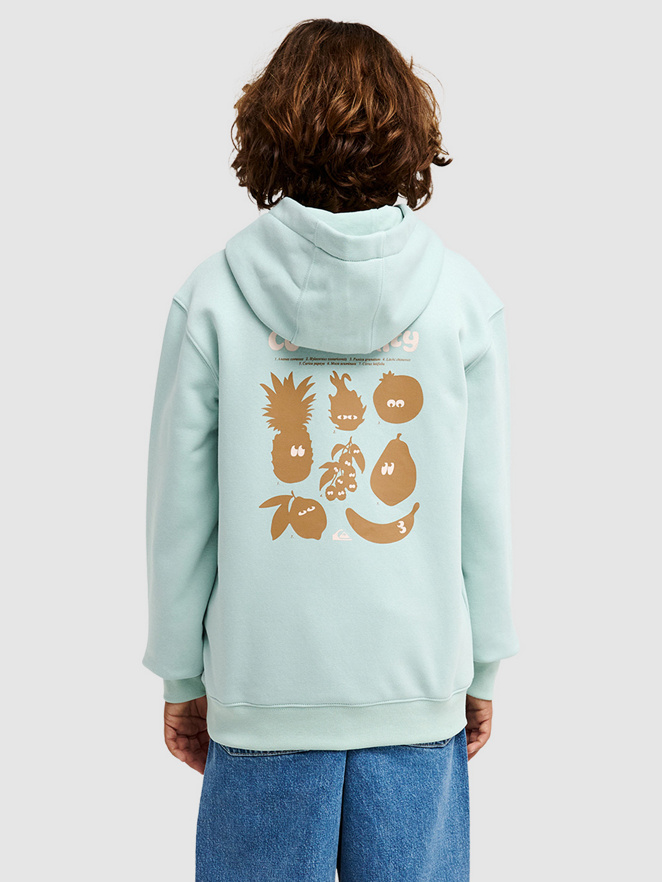 Quiksilver Graphic Kids Hoodie