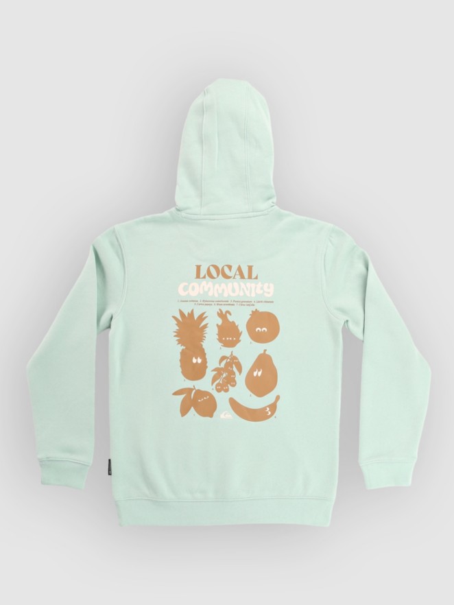 Quiksilver Graphic Kids Hoodie