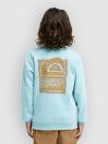 Quiksilver Graphic Crew Kids Genser