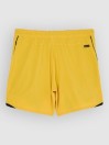 Quiksilver Highline Amphibian 17 Boardshorts