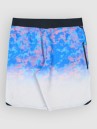 Quiksilver Highline Printed 20 Bañador