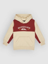 Quiksilver Knowledge Aera Kids Hoodie