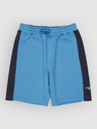 Quiksilver Knowledge Area Kids Shorts