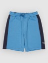 Quiksilver Knowledge Area Kids Shorts