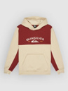 Quiksilver Knowledge Area Kids Hoodie