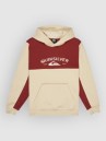 Quiksilver Knowledge Area Kids Hoodie