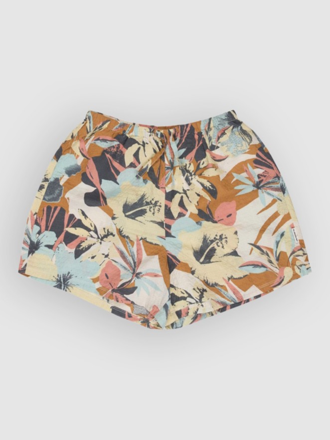 Quiksilver Ludden Shorts