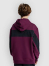 Quiksilver Mercury Trident Kids Hoodie