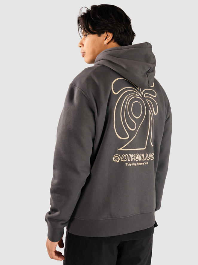Quiksilver Salt Water Graphic Hoodie