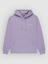 Quiksilver Salt Water Graphic Hoodie