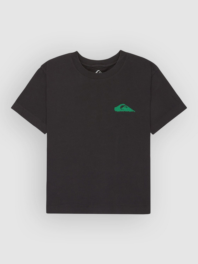 Quiksilver Standard T-Shirt