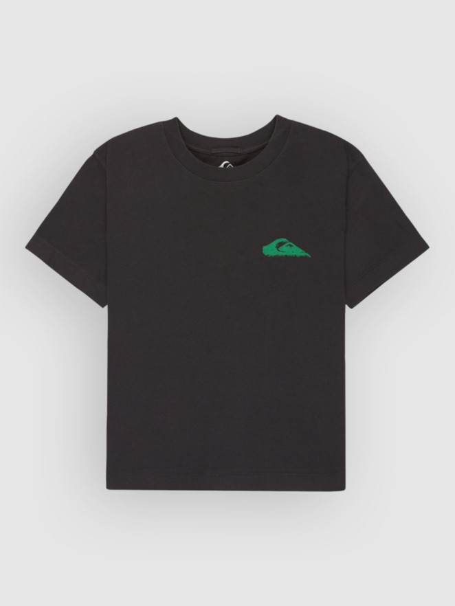 Quiksilver Standard T-Shirt