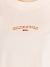Quiksilver Standard T-Shirt