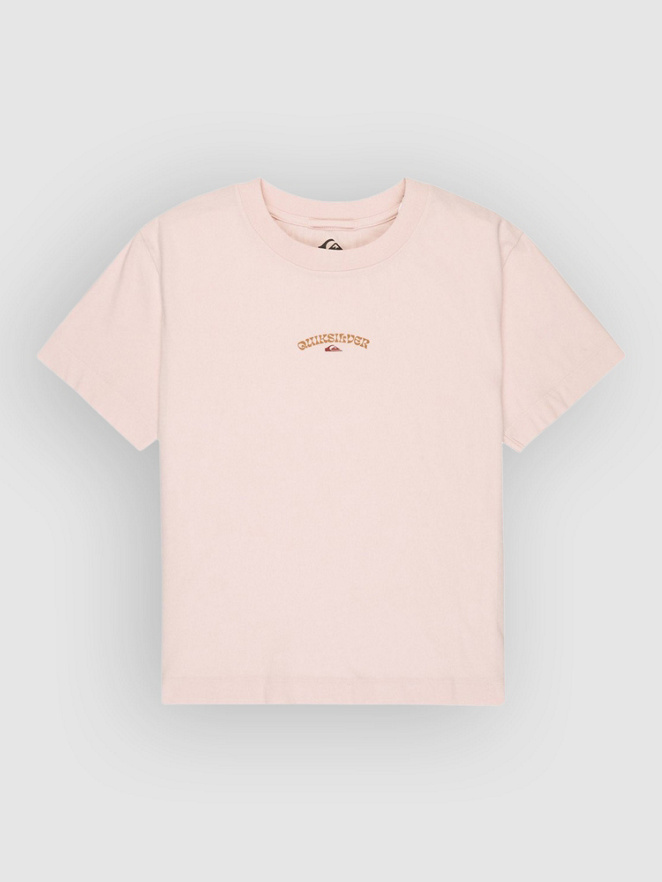 Quiksilver Standard T-Shirt