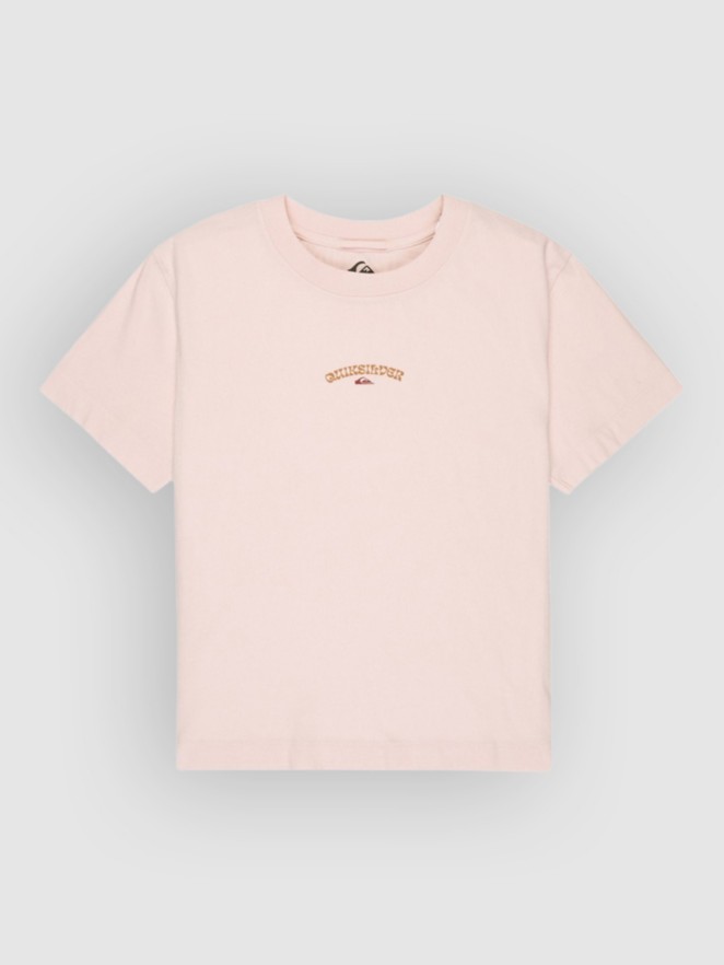Quiksilver Standard T-Shirt